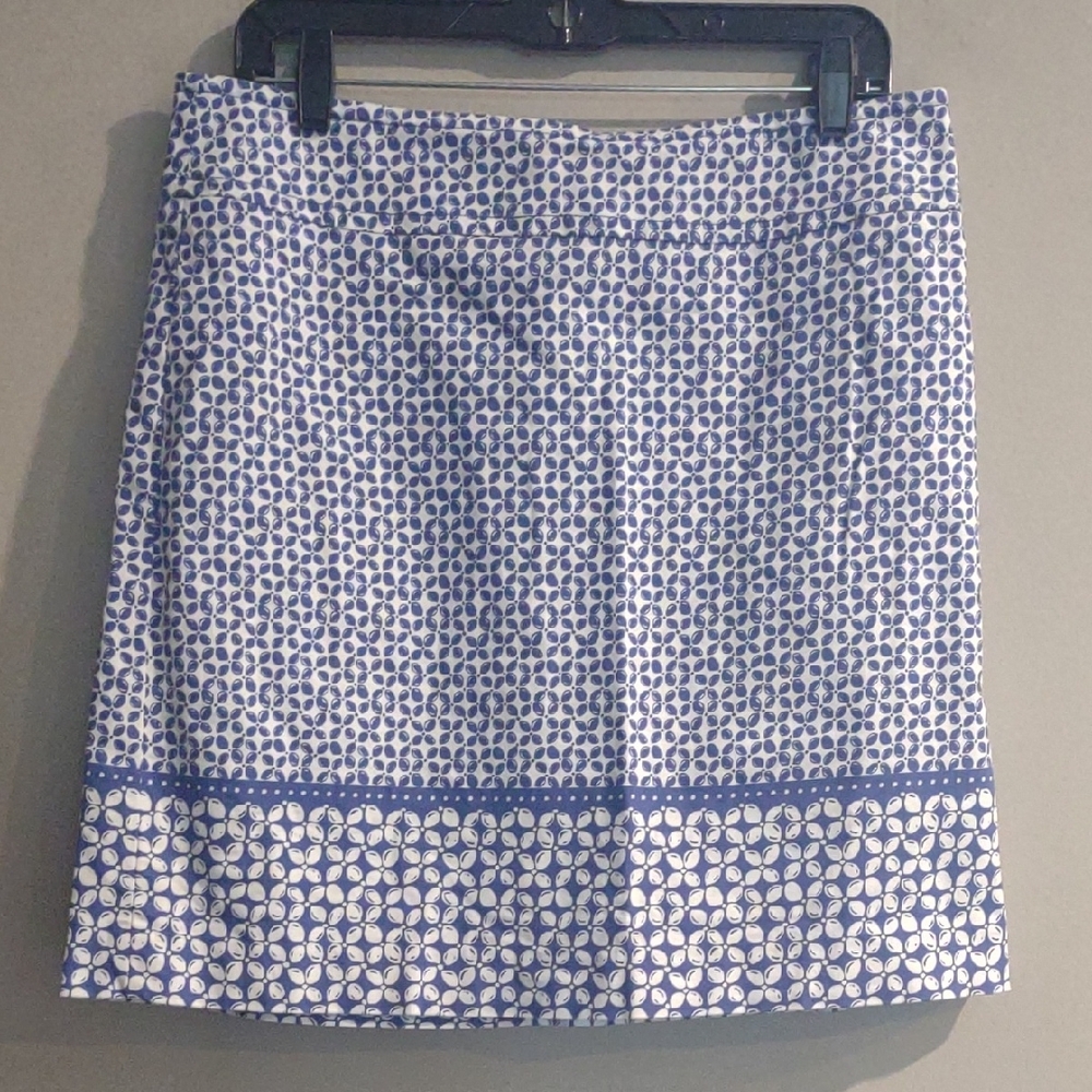 Talbots Women's 10 Blue and White Mini Skirt with Border Print